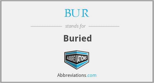 What does BUR. stand for?