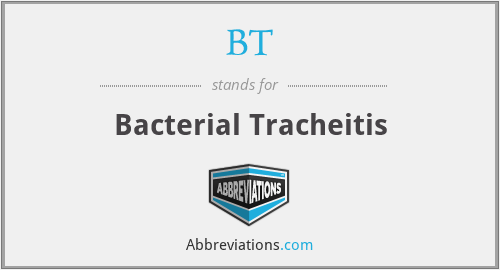 BT - Bacterial Tracheitis