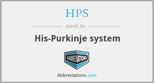 HPS - His-Purkinje system