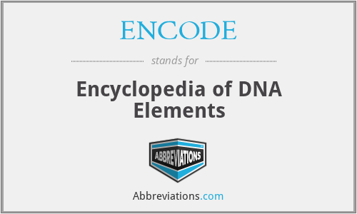 What does ENCODE stand for?