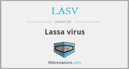 What does lassa stand for?