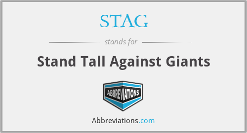 STAG - Stand Tall Against Giants