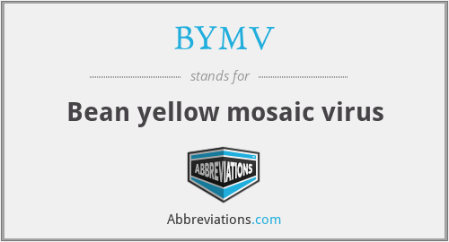 What does BYMV stand for?