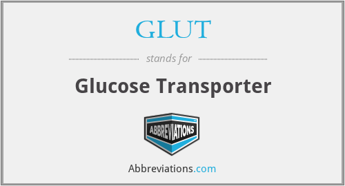 What does GLUT stand for?