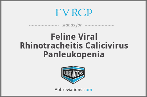 FVRCP - Feline Viral Rhinotracheitis Calicivirus Panleukopenia