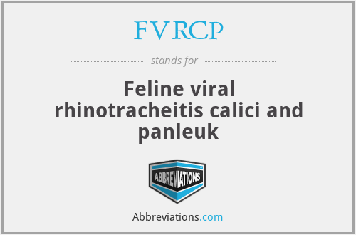 FVRCP - Feline viral rhinotracheitis calici and panleuk
