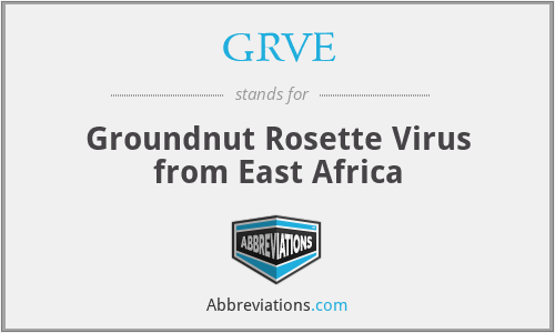 GRVE - Groundnut Rosette Virus from East Africa