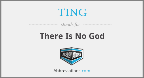 What does TING stand for?