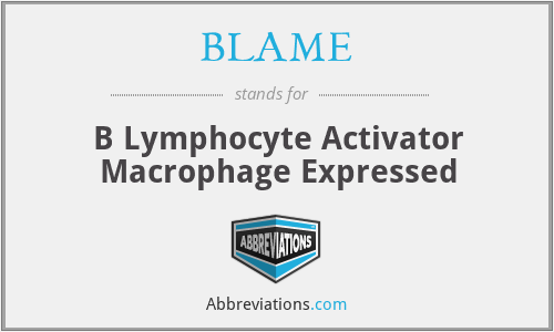 BLAME - B Lymphocyte Activator Macrophage Expressed