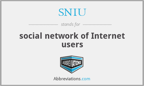 SNIU - social network of Internet users