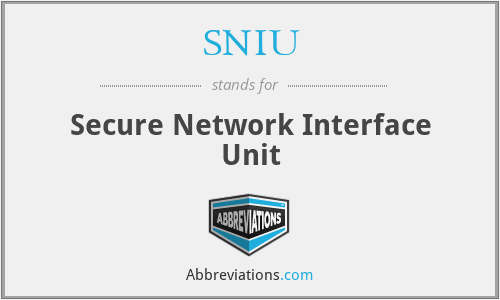 SNIU - Secure Network Interface Unit