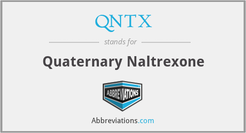 What does QNTX stand for?