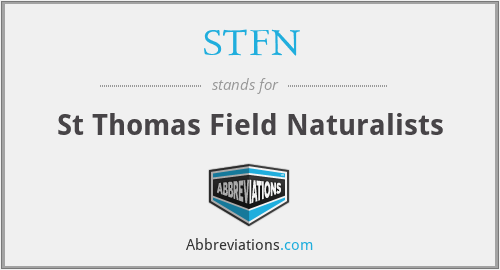 What does STFN stand for?
