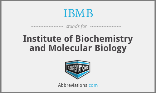 IBMB - Institute of Biochemistry and Molecular Biology