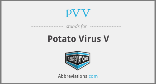 What does PVV stand for?