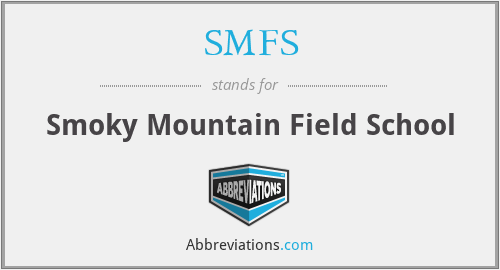 What does SMFS stand for?
