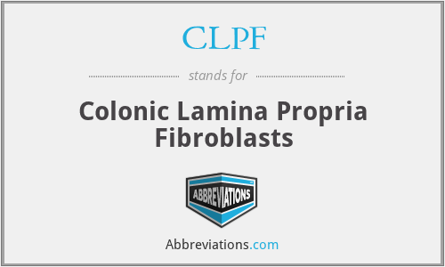 CLPF - Colonic Lamina Propria Fibroblasts
