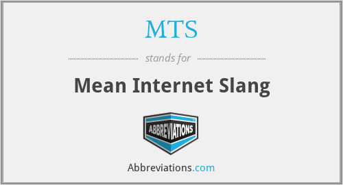 Does mean internet what slang in English Internet