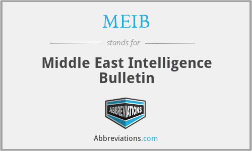 MEIB - Middle East Intelligence Bulletin