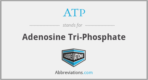 What does ATP stand for?