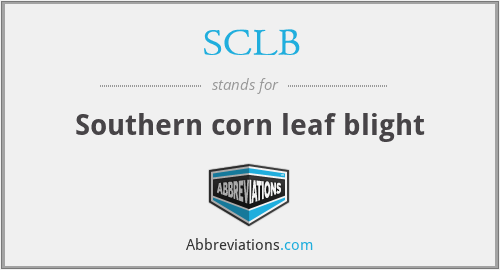 What does SCLB stand for?