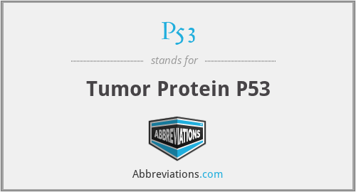 What does P53 stand for?