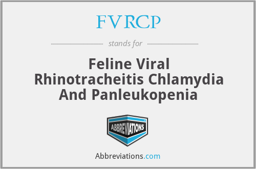 FVRCP - Feline Viral Rhinotracheitis Chlamydia And Panleukopenia