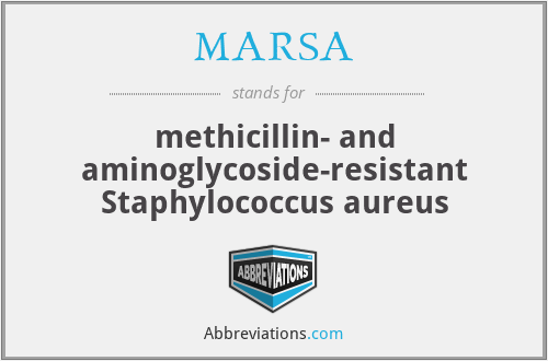 MARSA - methicillin- and aminoglycoside-resistant Staphylococcus aureus