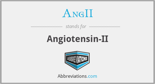 What does ANG-II stand for?