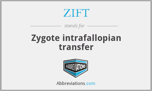 What does ZIFT stand for?