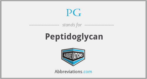 PG - Peptidoglycan