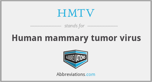 What does HMTV stand for?