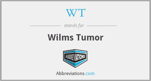 What does Wilms stand for?