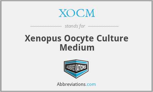 XOCM - Xenopus Oocyte Culture Medium