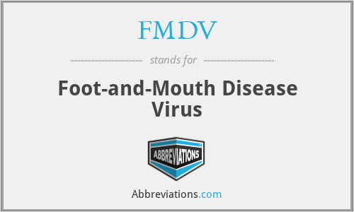 What does FMDV stand for?