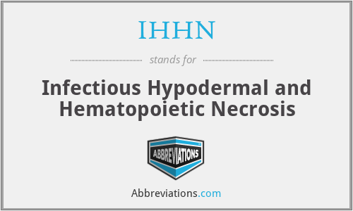 IHHN - Infectious Hypodermal and Hematopoietic Necrosis