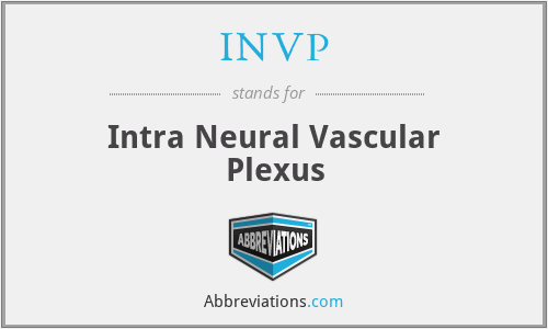 INVP - Intra Neural Vascular Plexus