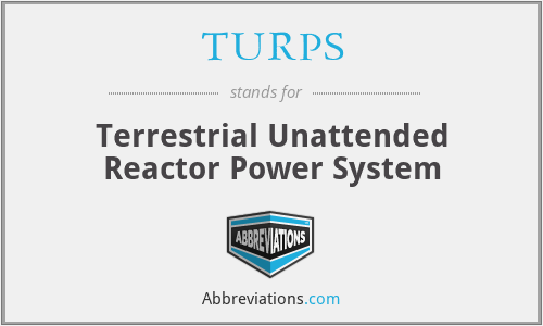 TURPS - Terrestrial Unattended Reactor Power System