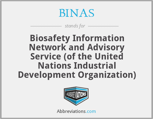 What does BINAS stand for?