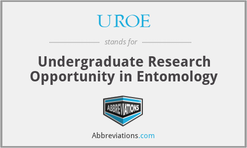 What does UROE stand for?