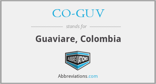 What does CO-GUV stand for?