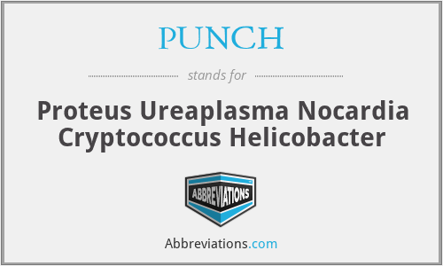 PUNCH - Proteus Ureaplasma Nocardia Cryptococcus Helicobacter