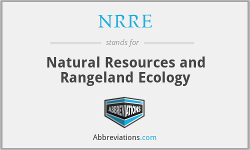 What does NRRE stand for?