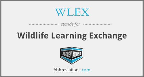 What does WLEX stand for?