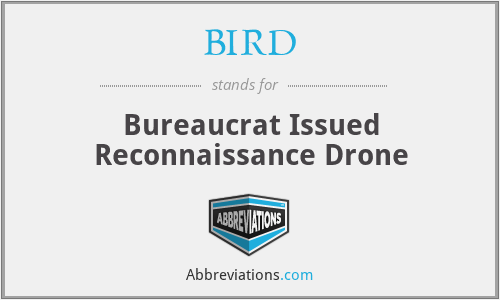 BIRD - Bureaucrat Issued Reconnaissance Drone