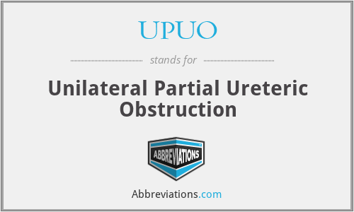 UPUO - Unilateral Partial Ureteric Obstruction