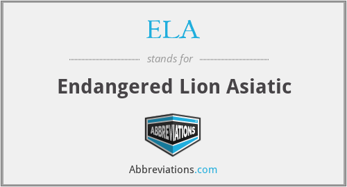 ELA - Endangered Lion Asiatic
