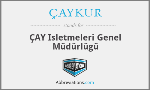 What does ÇAYKUR stand for?