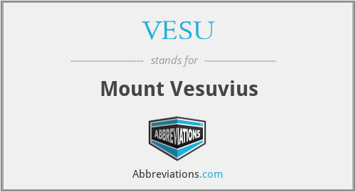 What does VESU stand for?