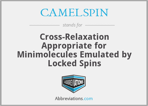 CAMELSPIN - Cross-Relaxation Appropriate for Minimolecules Emulated by Locked Spins